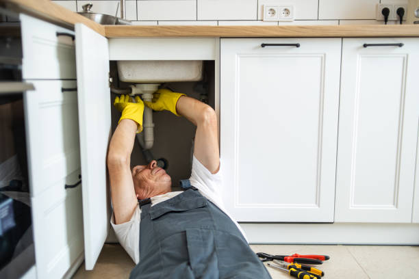 Best Clogged Drain Plumber  in Heritage Lake, IN